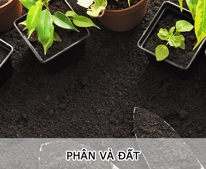 Phân Và Đất