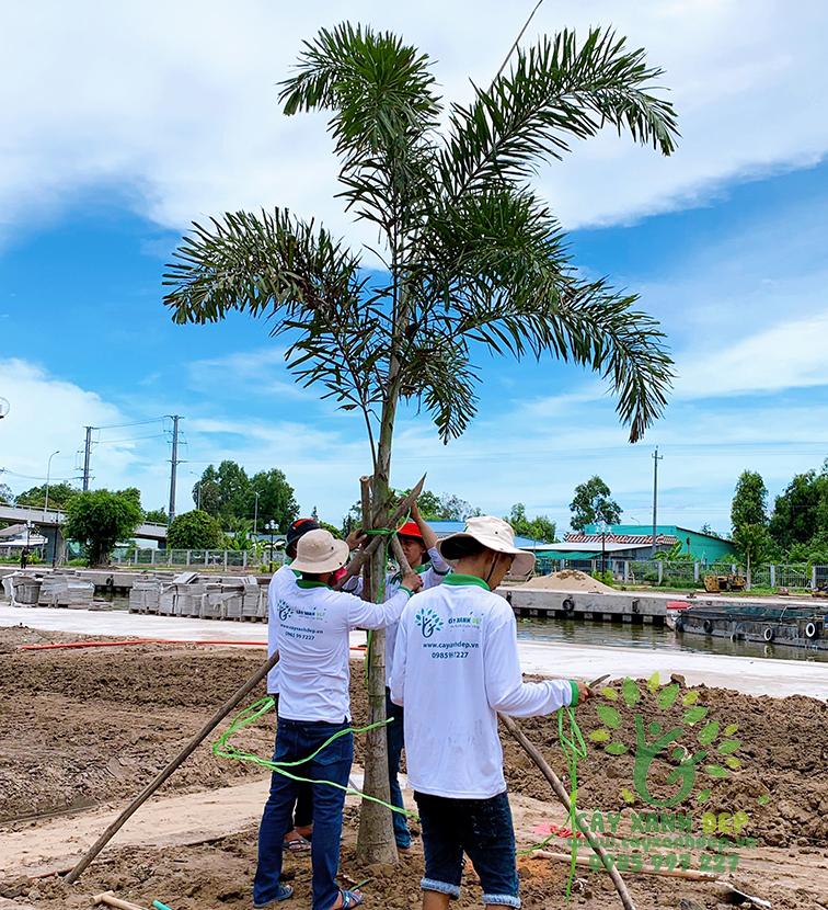 Công viên cây xanh ven sông Bạc Liêu